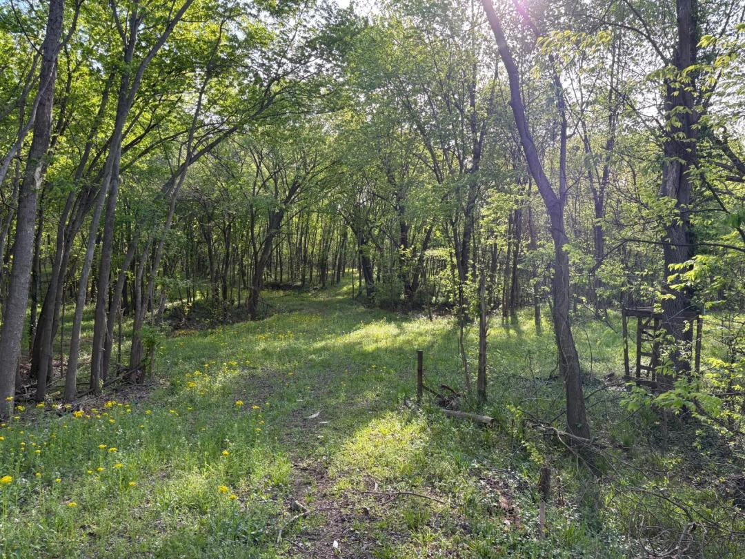 40.97 Acres at 0 W State Road 66