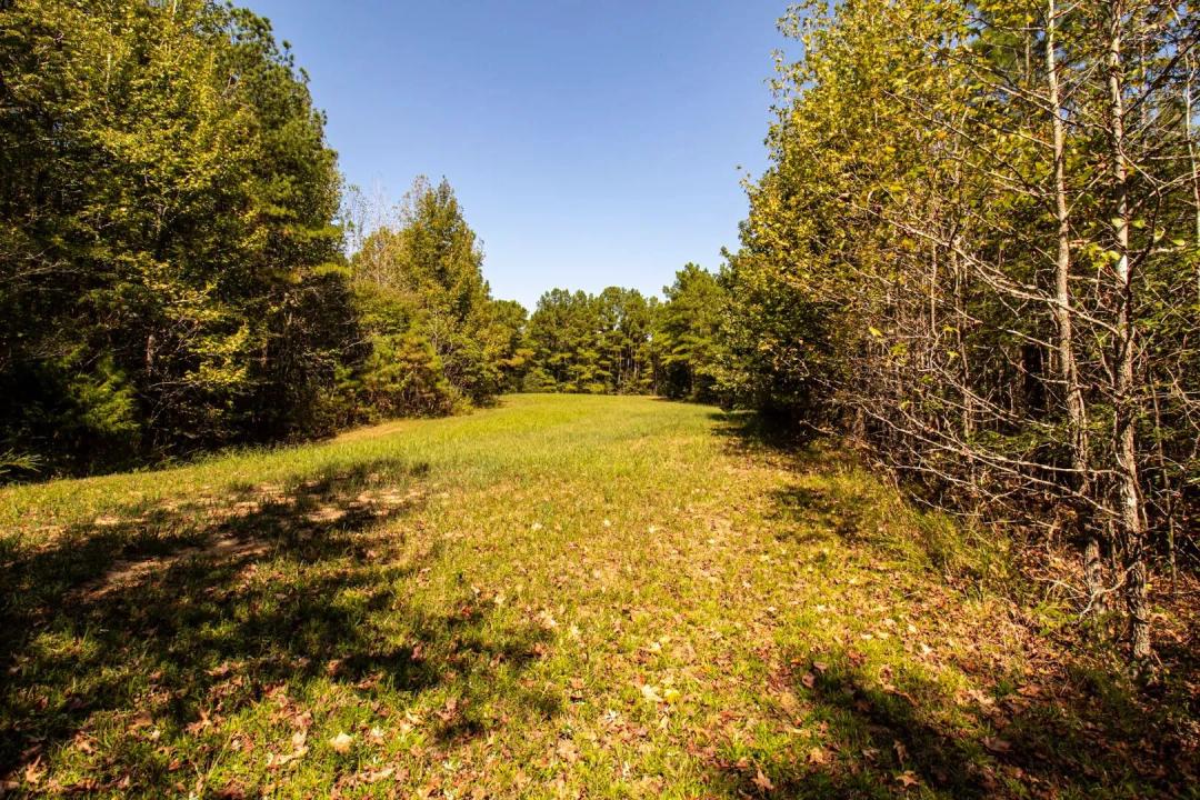 108.05 Acres in Hardeman County, TN