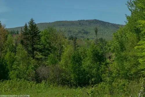 Maine Land for Sale in Avon