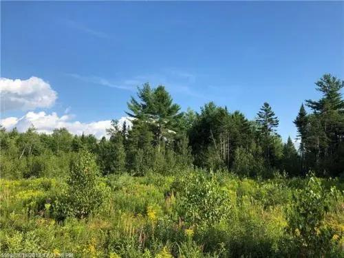 Recreational Maine Land For Sale | Milford, M