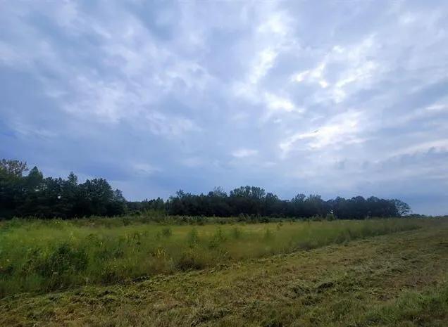 45.00 Acres at 4025 Industrial Park Drive