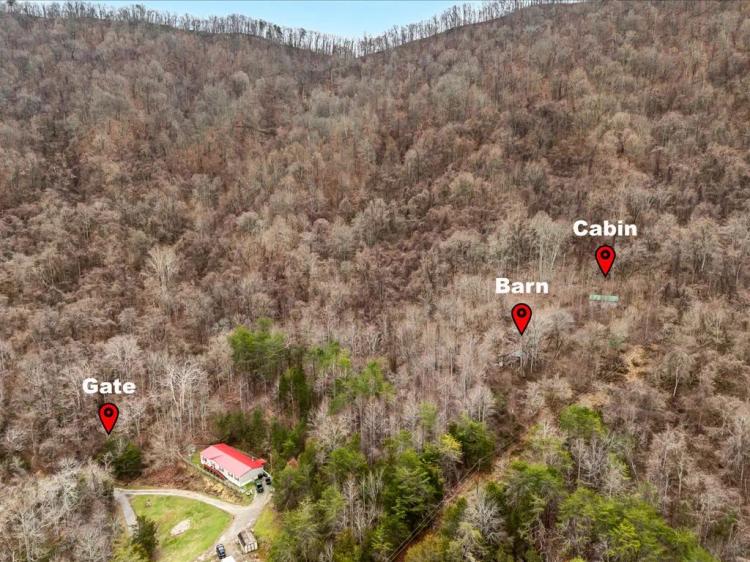 31+ Acres with Cabin - Great Hunting Property