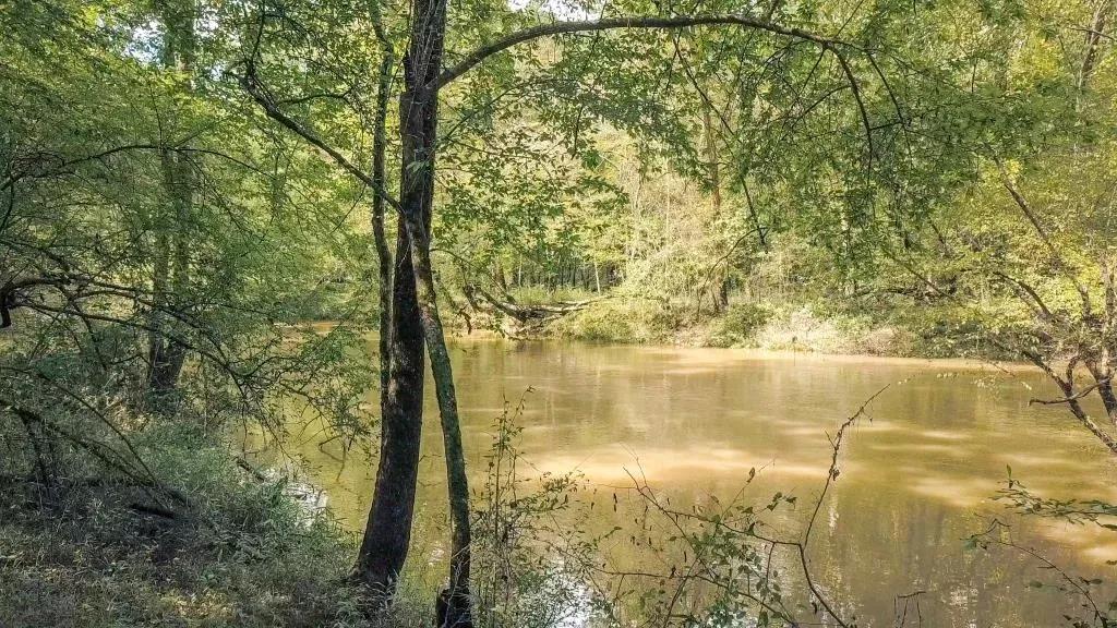 img_Longwate-River-Drone-Video-Photos-5