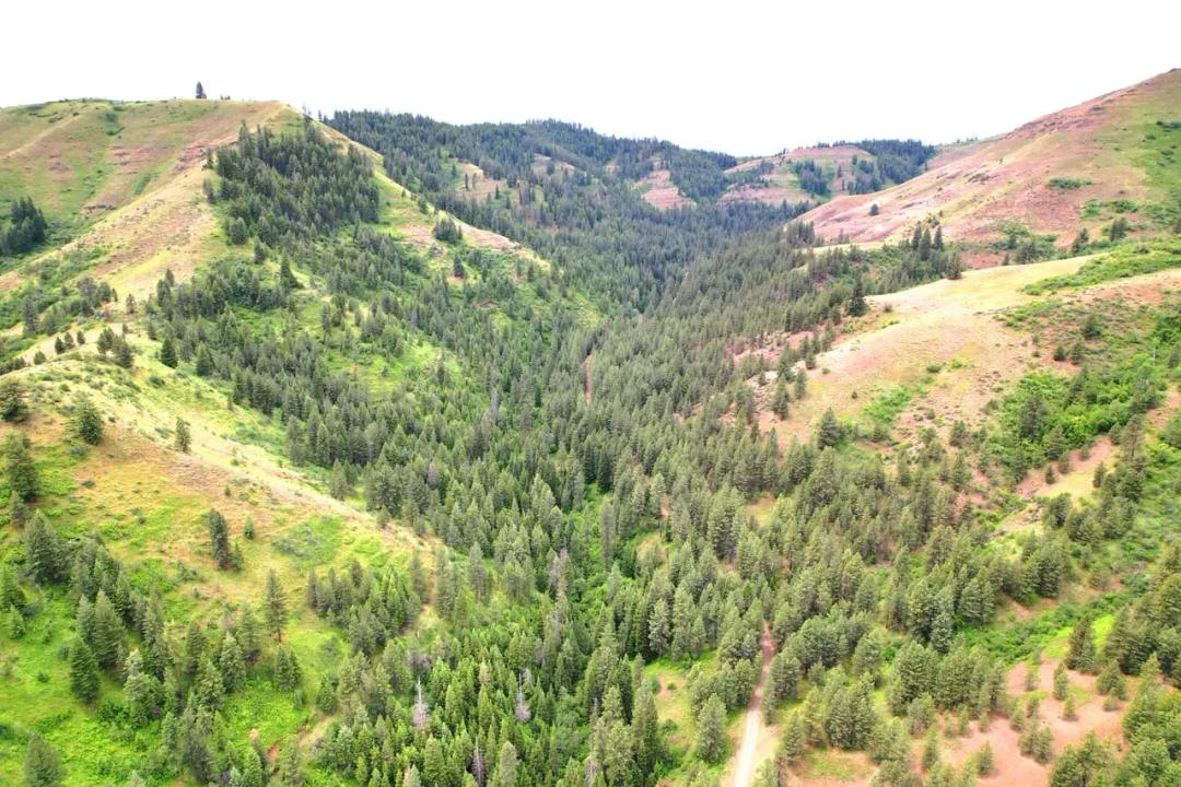 Little Elk Creek