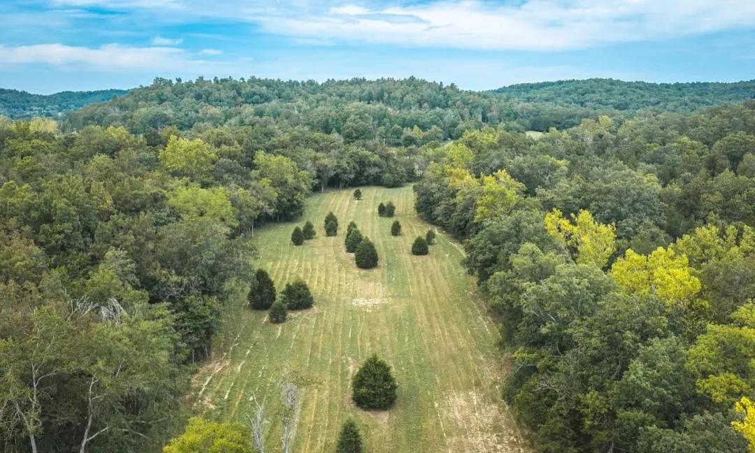 Adkins Hollow Tract 4