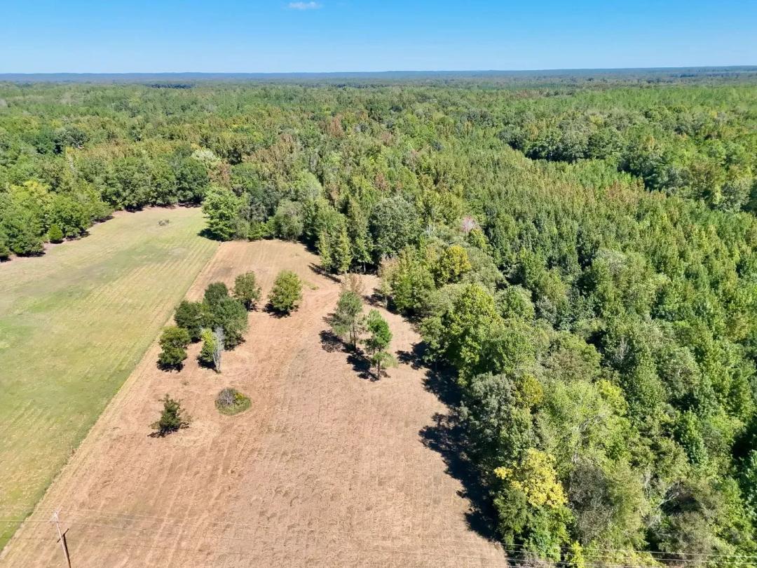 12.63 Acres in Hardeman County, TN
