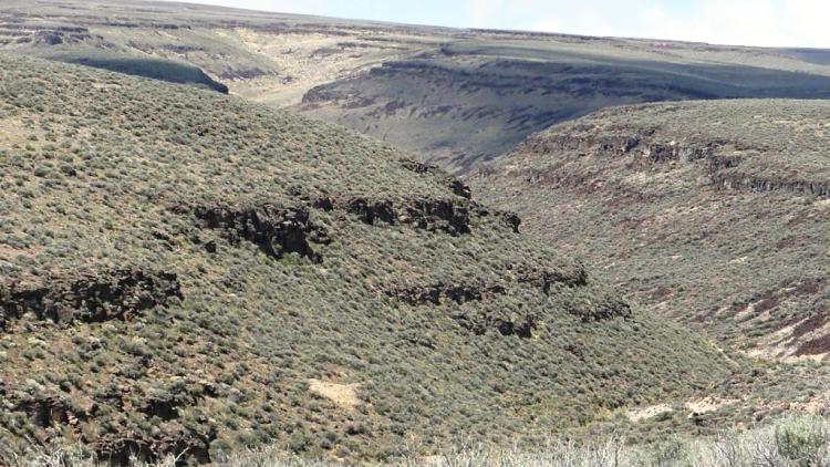 Corral Canyon 1/4 mile wide by 1 mile long - Borders BLM lands 3 sides