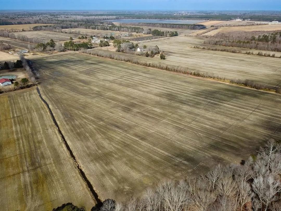 118 Acres of Crop & Timber Land for Sale in Chesapeake Virginia!