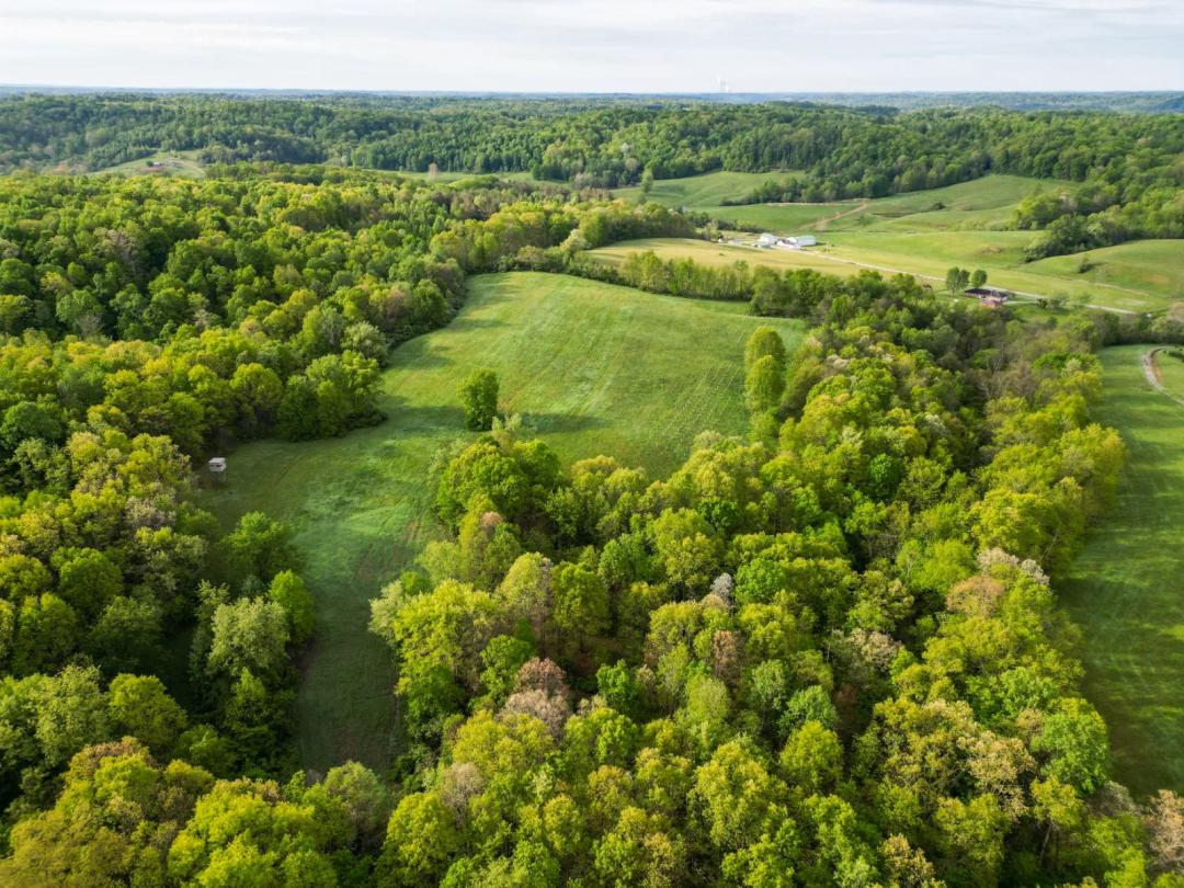Tract 3 Coolville Acres