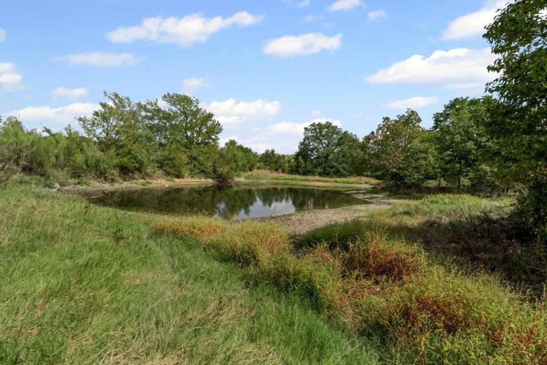81 Acres Desdemona, TX