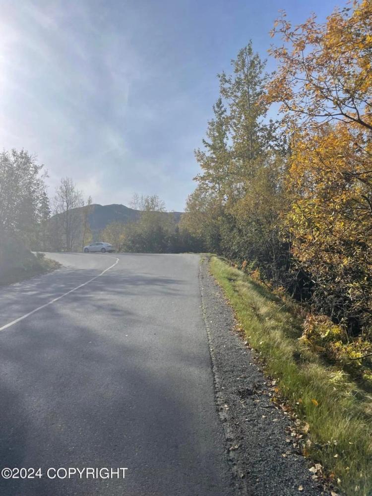 Nicely treed building lot in Chugiak