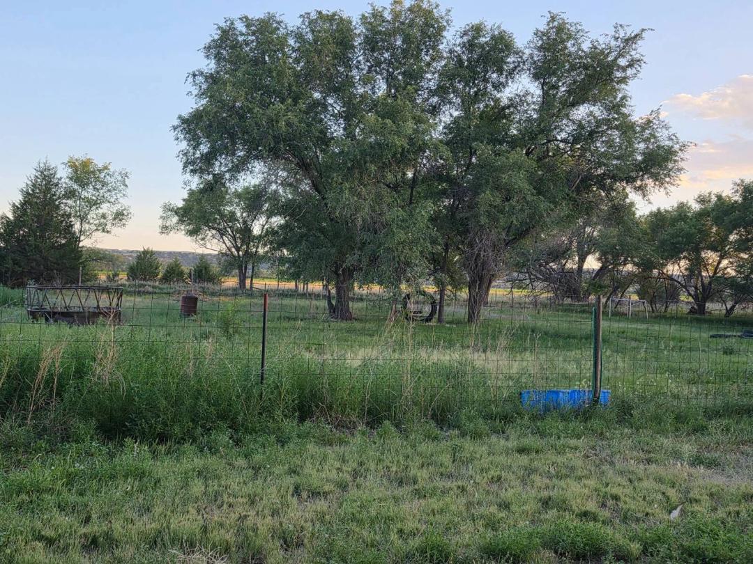 "Peaceful" Lot With Trees and Views