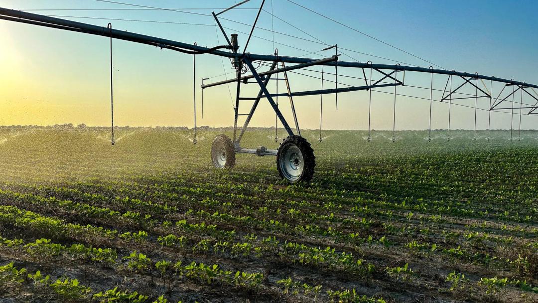 1,229 Acre Irrigated Farm