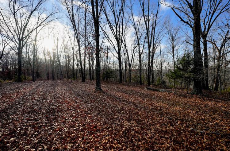 Secluded Ozarks Hunting And Rec Tract For Sale