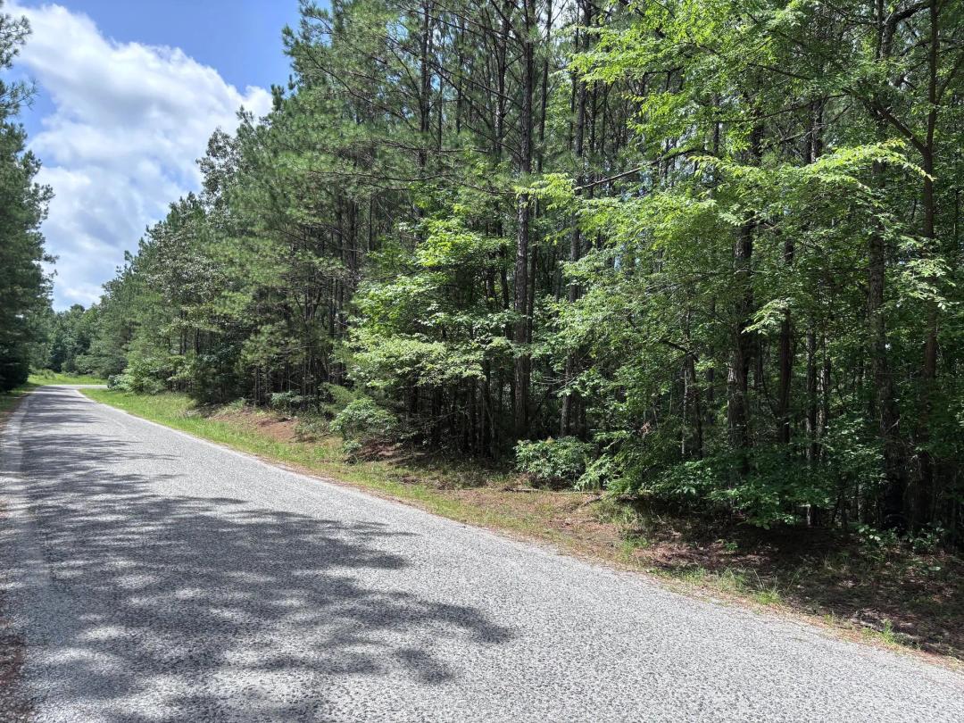 80 Acres in Prentiss County, MS