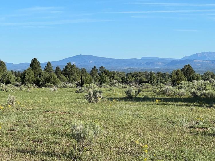 Hunting Ranch with Wooded Acreage in Northern New Mexico