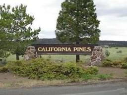 92-acres-in-the-pines-m-1