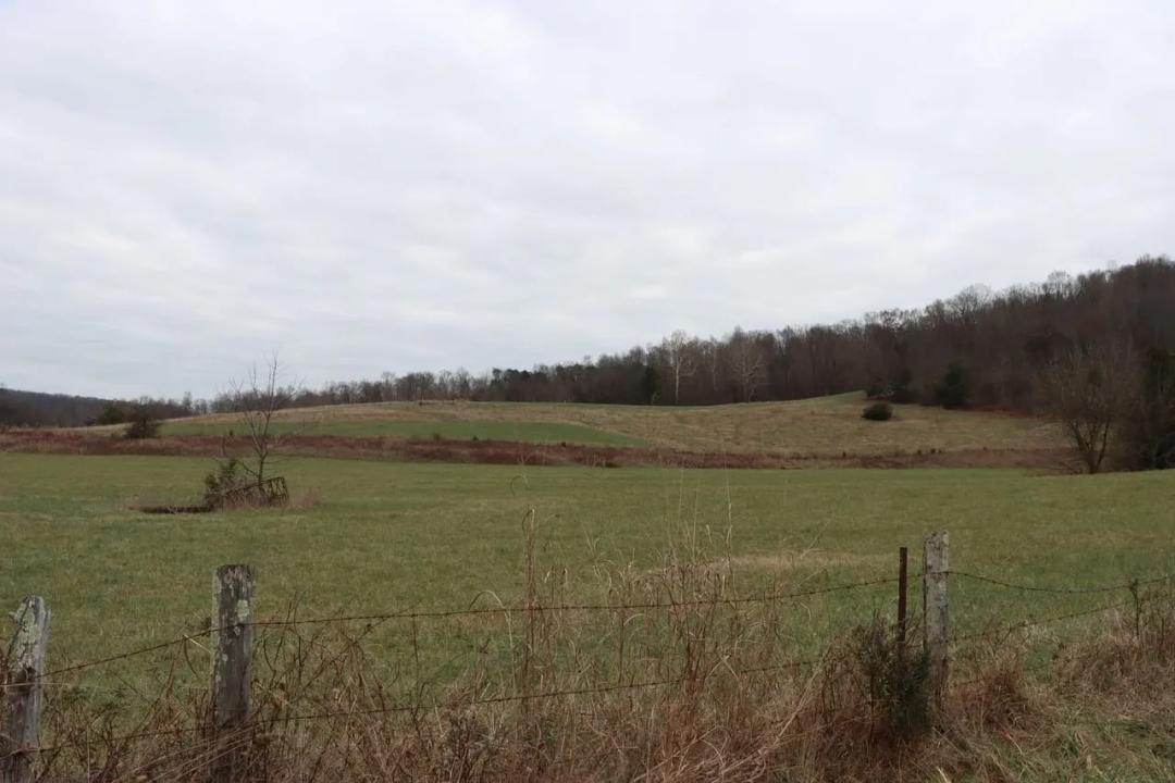 Cattle Horse & Hunting Property in Kentucky
