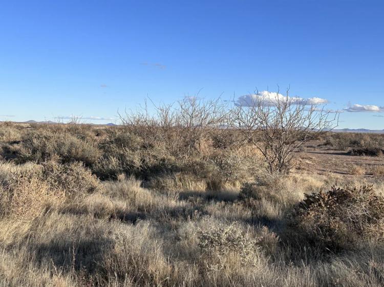 Southern New Mexico Desert Land - 4+ acres
