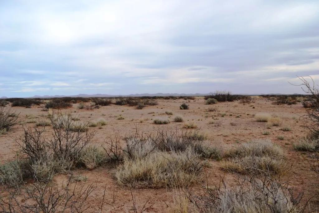 3 residential parcels. Sunny Southern New Mexico - Mobiles, Modulars, site builds allowed