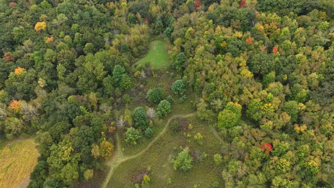37.61-Acre Trophy Whitetail & Recreational Property | Hixton, Wisconsin