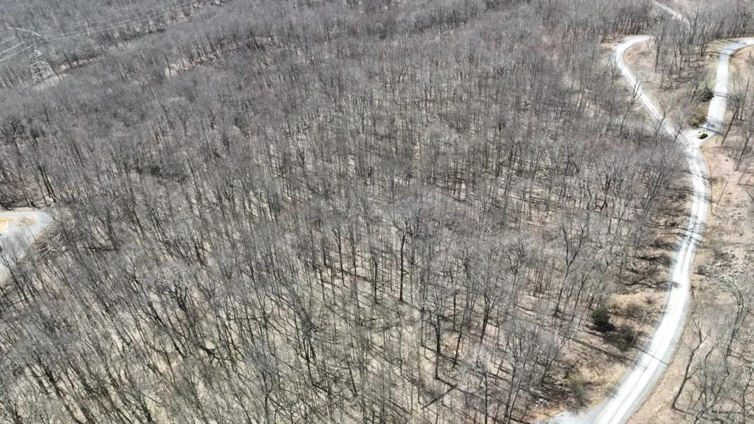 7.34 Acres at Cove Creek Rd