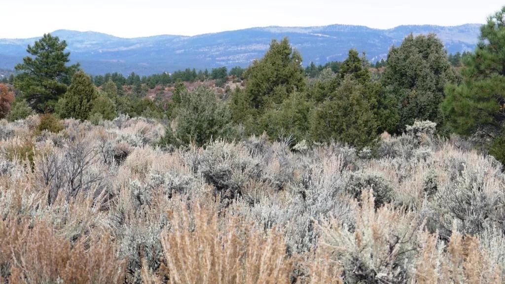 Chama River Estates * 2 adjoining lots. Camp RV Build Mobiles allowed