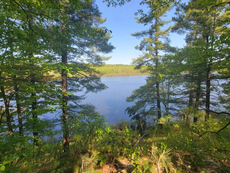 11 acre Secluded Forest Land with Lake Views DeKalb NY