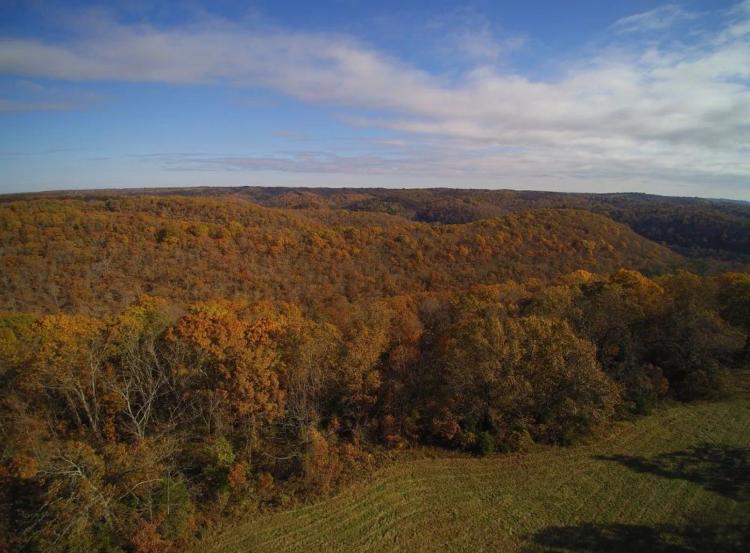 Diverse SW MO Tract With Seclusion, Quality Timber And Monster Bucks