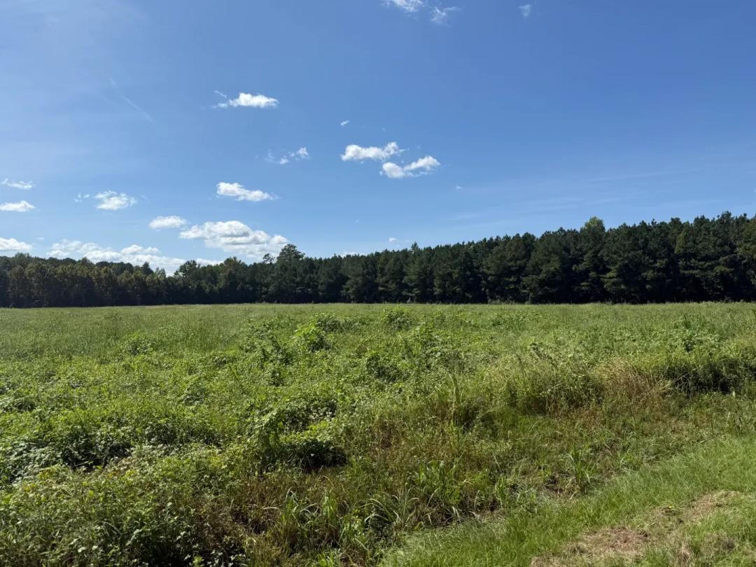 5 Acres for Sale on Hwy 33 Near Chocowinity, NC