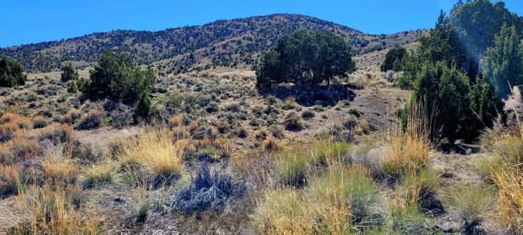 Gold Hill Western Utah Patented Mining Claim - Surrounded by BLM lands