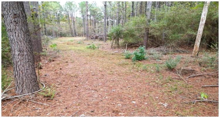 6.78 Acres in Newton County in Decatur, MS 