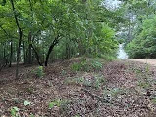 Lot 13 Luffey Rd., Lake D"Arbonne