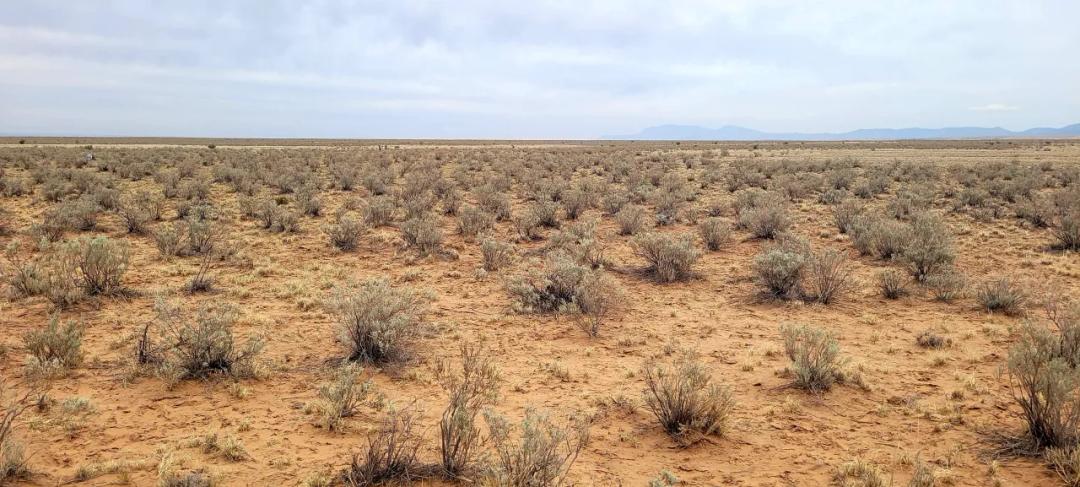 Rio Grande Estates New Mexico * Mobiles, Modulars, Camp, RV