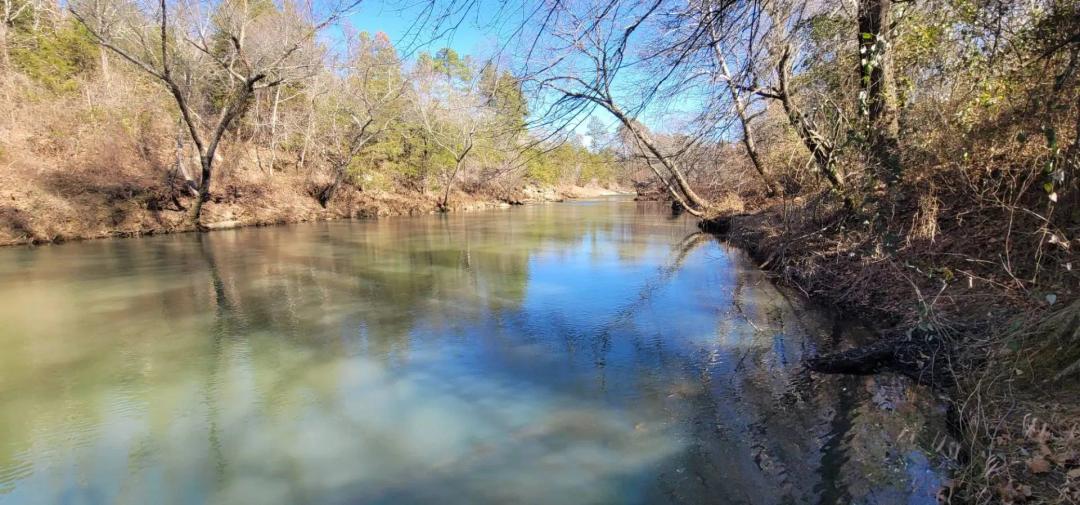 71.2 ACRES LITTLE RIVER FRONTAGE