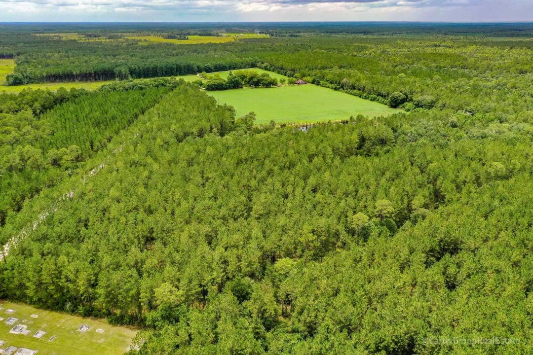 23 Acres on Camp Branch Cross Rd in Ware County, GA