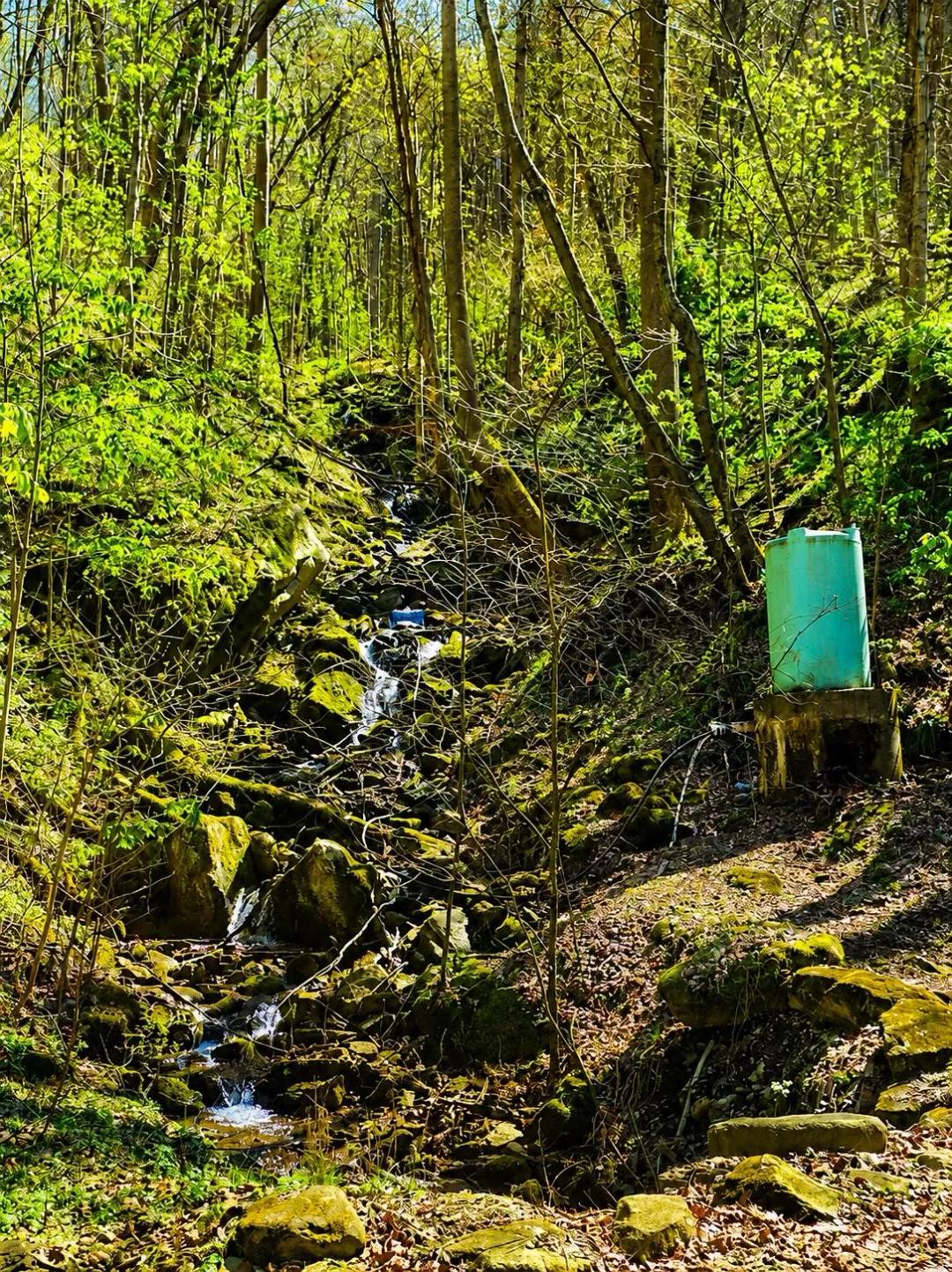 Thayer Waterfall Property in the New River Gorge, Fayette Co.