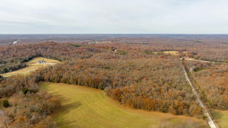 19.76 Acre Timber Tract (Tract C) for Sale – Phelps County