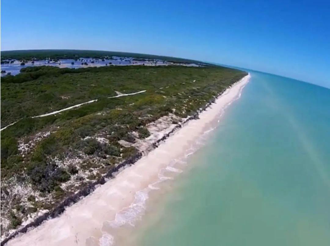 130 meters ocean front in Sisal, YUCATAN, Mexico