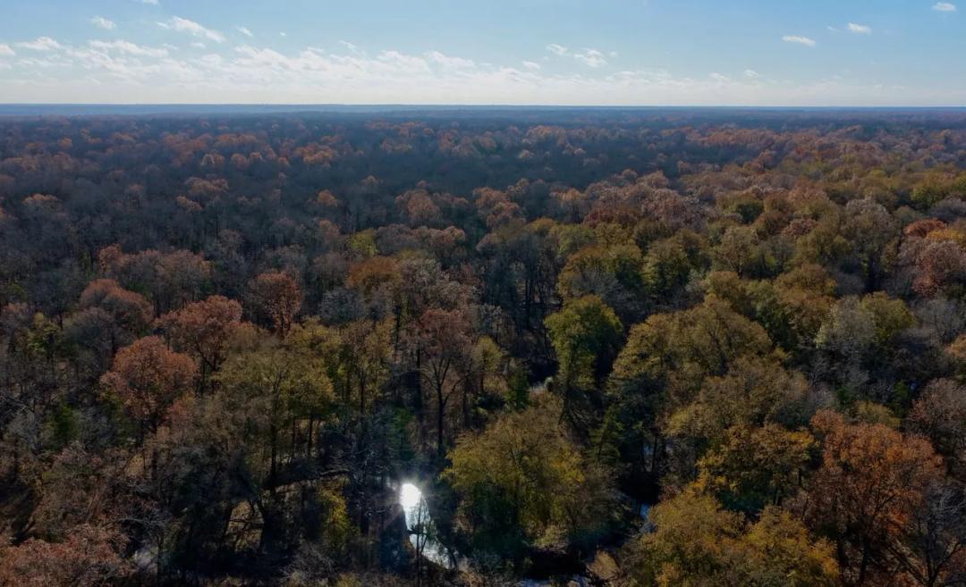 The Sanctuary- 62+/- Acres Adjoining WMA