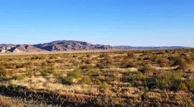 Historic Old Emigrant Road 40 Acres - Huge Views