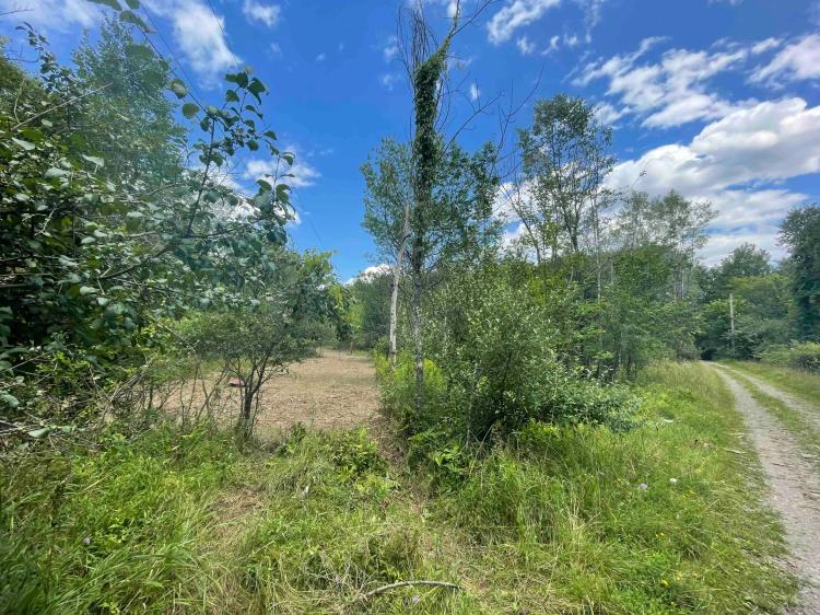 8 acre Building Lot in East Durham NY Sherwood Forest Road