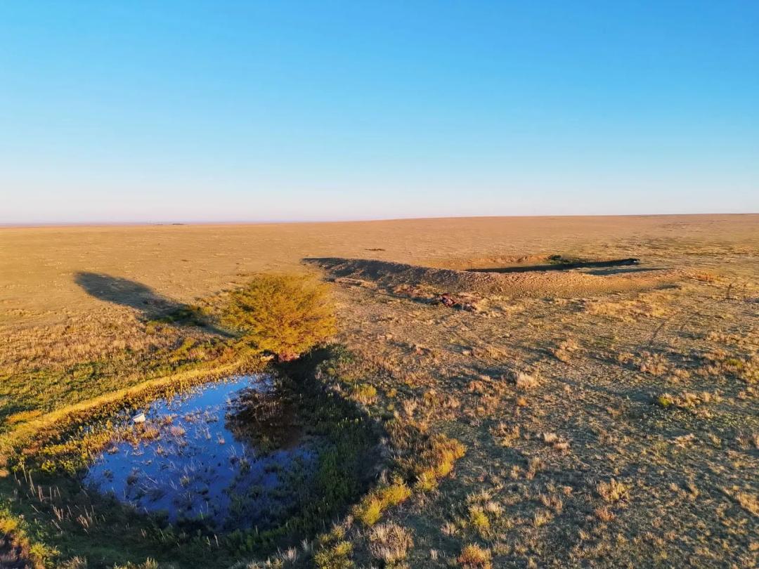 Fenced Pasture with Paved Road Frontage & Wind Development Lease