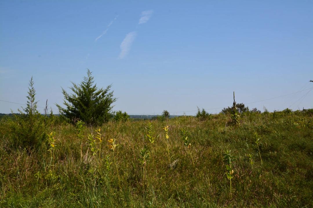 Raeta Estates Lot 6