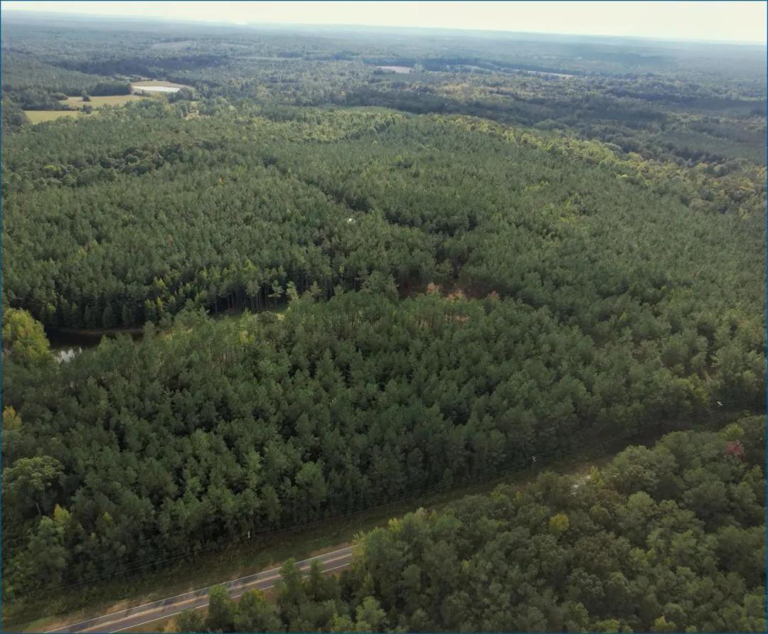 69 Acres in Webster County in Eupora, MS