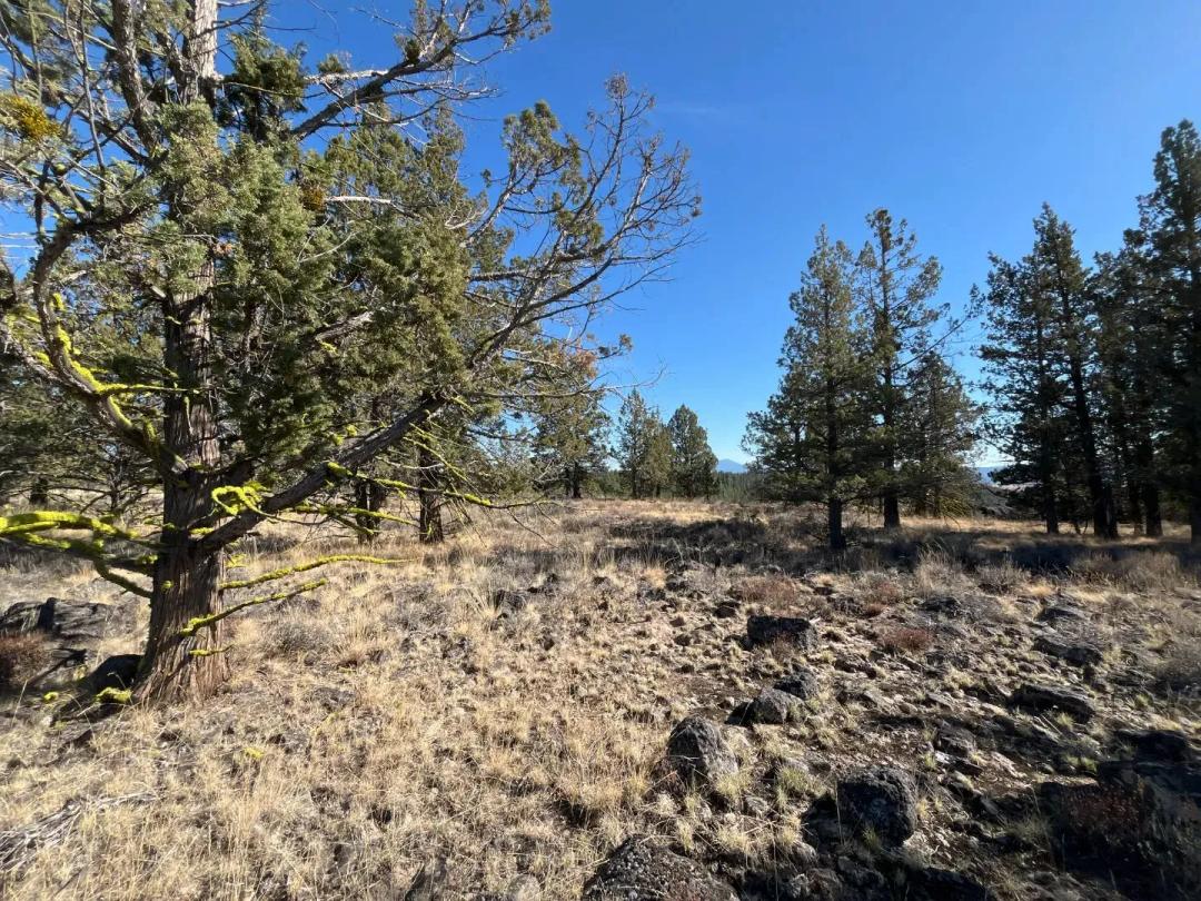 40 Acre Recreational Property Near Sprague River