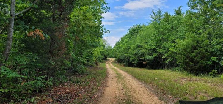 2100 acres + - Rolling Hills and Hardwoods