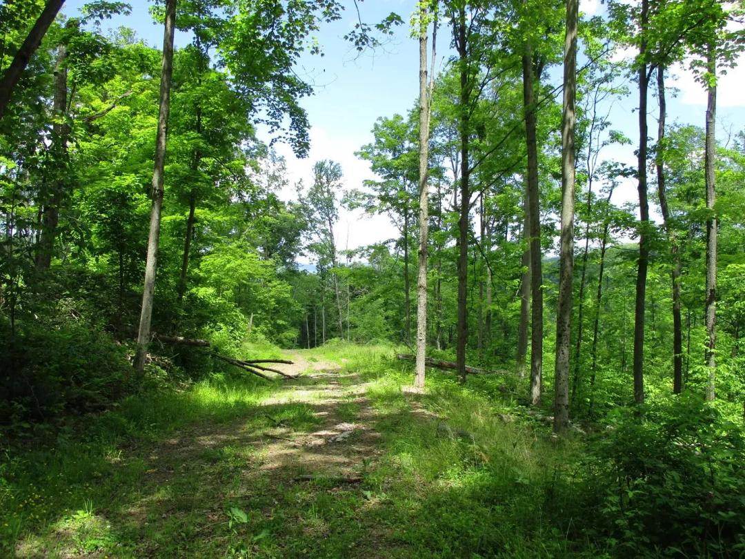 Prosser Tract