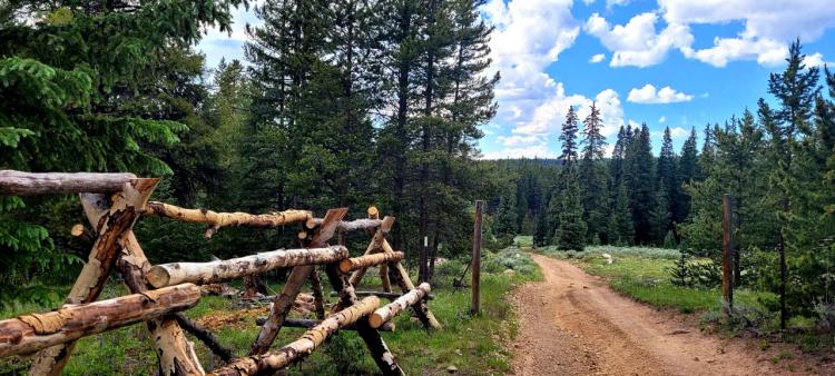 Gorgeous High Mountain Property with trees  near Leadville Colorado.