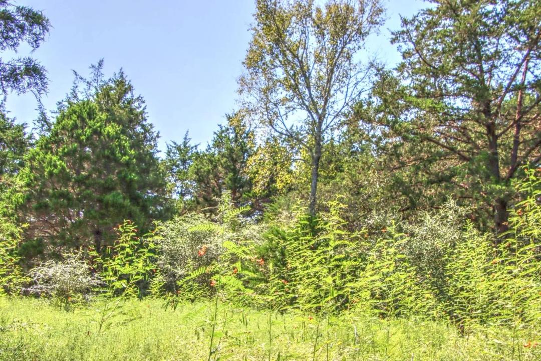 TALL OAKS RETREAT